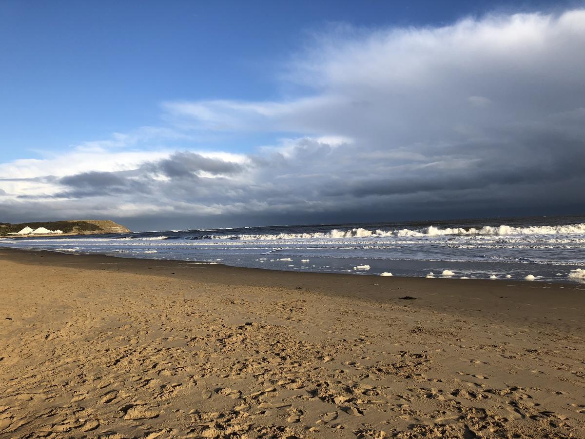 North Sands Lodge Scarborough Dış mekan fotoğraf